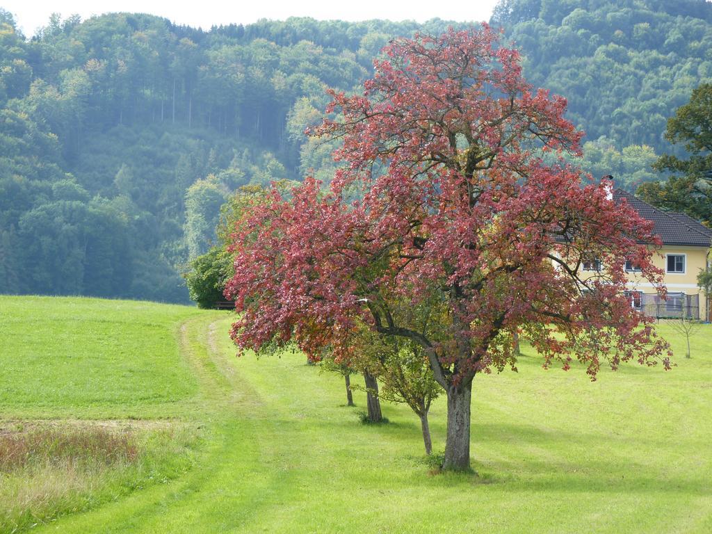Altmünster Landgut Wagnerfeld 아파트 외부 사진