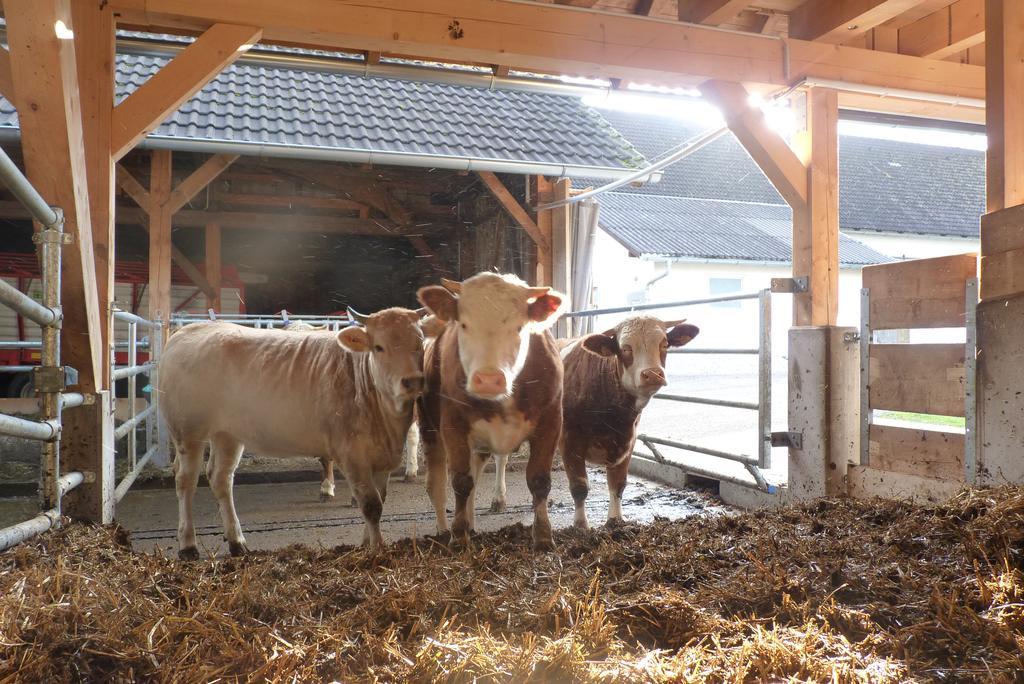 Altmünster Landgut Wagnerfeld 아파트 외부 사진