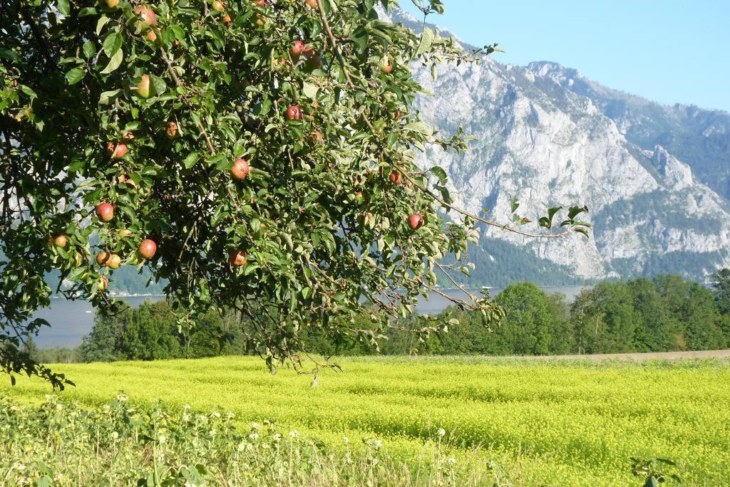 Altmünster Landgut Wagnerfeld 아파트 외부 사진